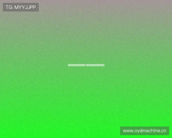 鱼泡网页版登录入口全解析 一站式指南助你轻松登录体验