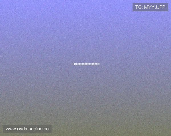 K1在线登录入口全面解析及安全使用指南